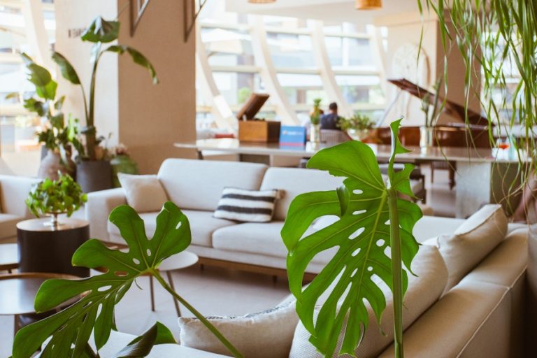 Hôtel écoresponsable au design moderne, construit avec des matériaux durables et respectueux de l’environnement
