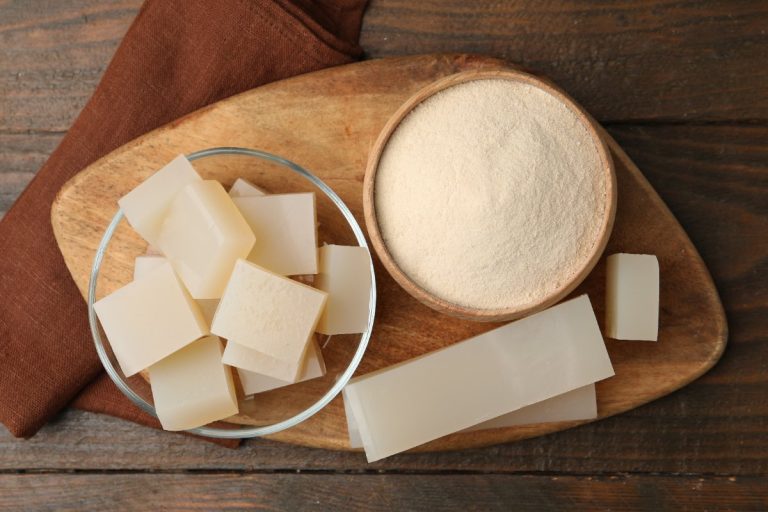 Cube agar-ager fait maison avec de la gélatine en poudre